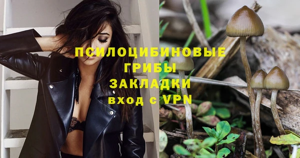 спиды Алзамай