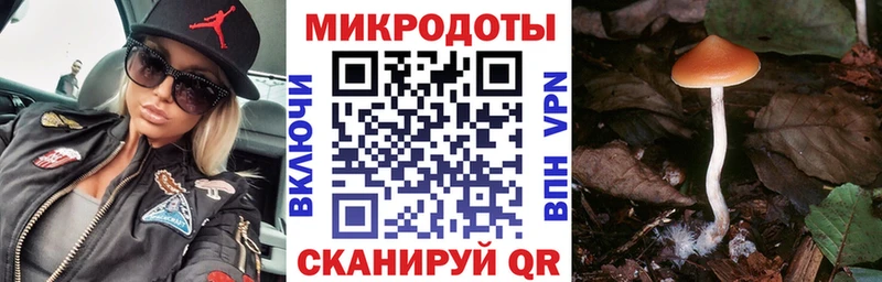 Псилоцибиновые грибы ЛСД  купить наркотики цена  Анжеро-Судженск 
